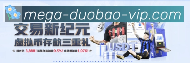 未来规划